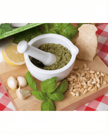 Set mortaio basilico Mortar Set (Ocimum basilicum) – semi di erba biologica da SeedsChoice