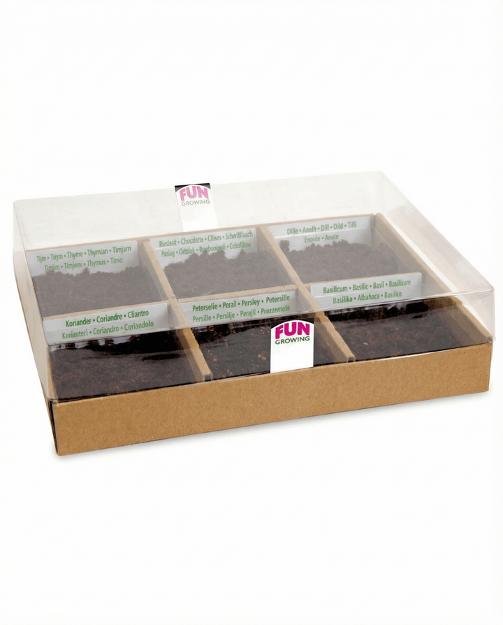 Culinary With 6 Varieties Starter Set seeds – grow kit