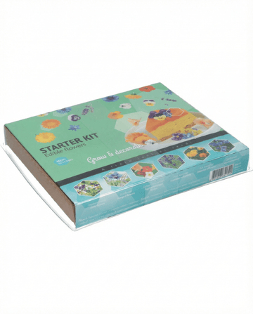 Edible Starter Set (Borago officinalis) – kit di coltivazione da SeedsChoice