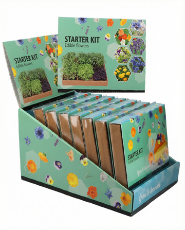Borago officinalis – Kit iniziatore di piante commestibili coltivate da seme