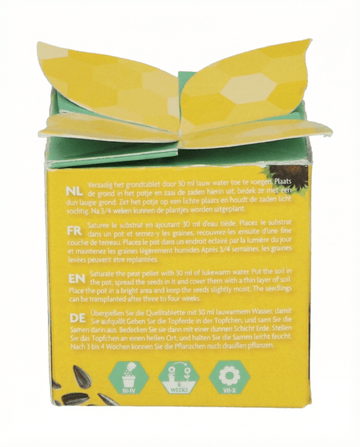 Dwarf Sunflower Gift seeds – annual grow kit from SeedsChoice
