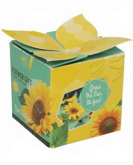 Dwarf Sunflower Seeds Helianthus Annuus Annual Flower Gift Kit