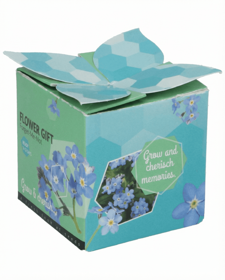 Forget-Me-Not Terracotta Pot 0.1g seeds (Myosotis alpestris) – biennial grow kit
