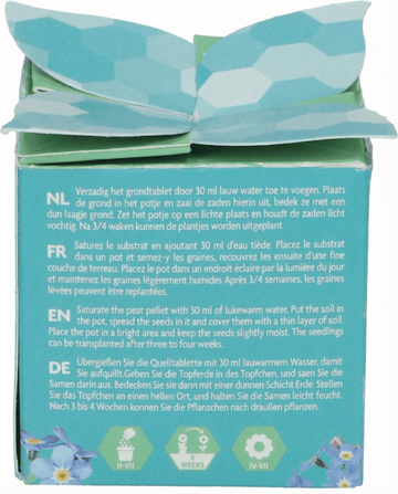 Forget-Me-Not Terracotta Pot 0.1g seeds – biennial grow kit from SeedsChoice