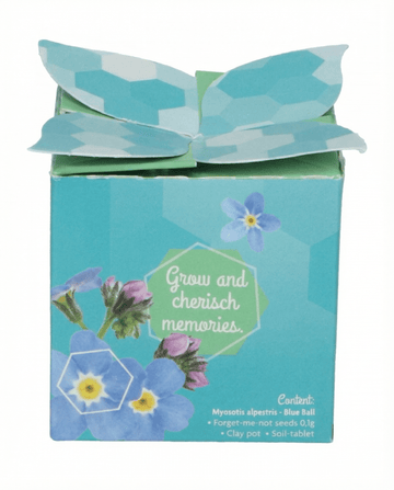 Forget-Me-Not Terracotta Pot 0.1g (Myosotis alpestris) – biennial grow kit seeds from SeedsChoice