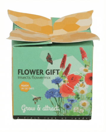 Mix insetti in vaso di terracotta – semi kit di coltivazione di SeedsChoice