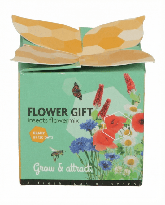 Mix insetti in vaso di terracotta – semi kit di coltivazione di SeedsChoice
