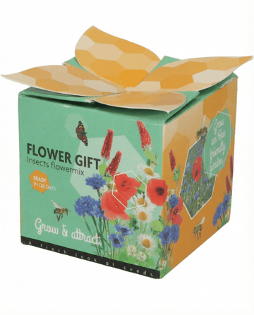 Mix insetti in vaso di terracotta – kit di coltivazione di SeedsChoice