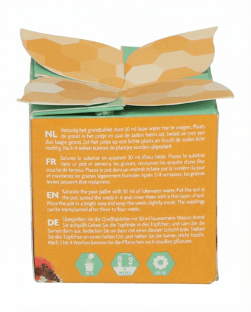 Semi mix insetti in vaso di terracotta – kit di coltivazione di SeedsChoice