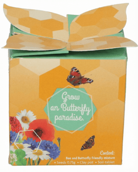 Kit regalo vaso in terracotta con semi di fiori per insetti