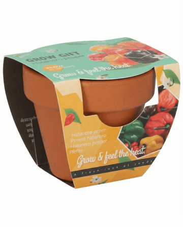 Semi di Peperone Habanero Vaso in Terracotta (Capsicum chinense) – kit di coltivazione