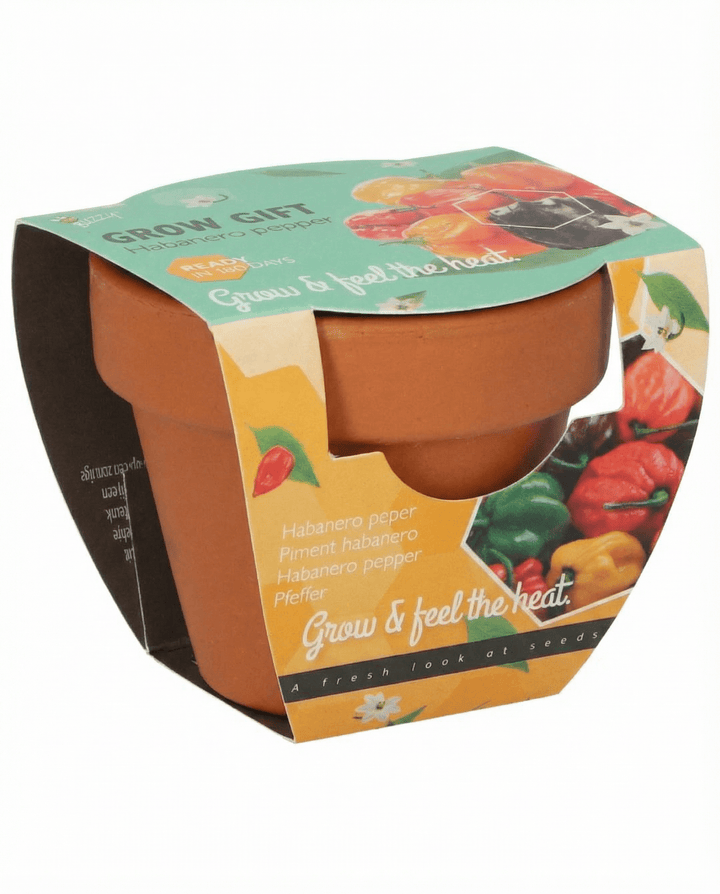 Semi di Peperone Habanero Vaso in Terracotta (Capsicum chinense) – kit di coltivazione