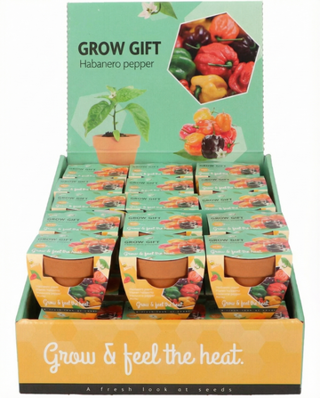Peperone Habanero Vaso in Terracotta (Capsicum chinense) – semi in kit di coltivazione di SeedsChoice