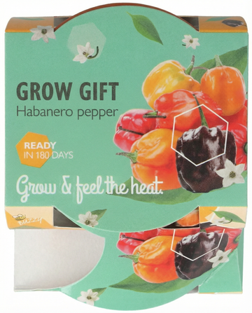 Semi di Peperone Habanero Vaso in Terracotta – kit di coltivazione di SeedsChoice