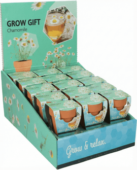 Chamomile Seeds Matricaria Chamomilla Annual Herb Grow Kit