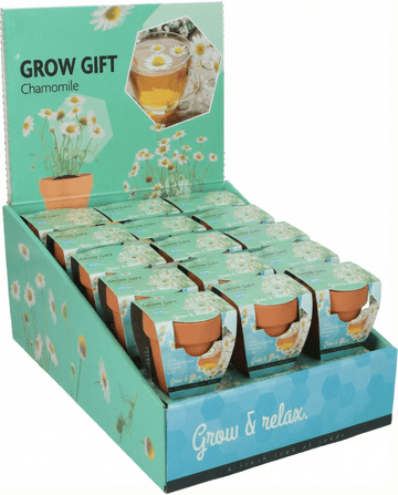 Chamomile seeds (Matricaria chamomilla) – annual grow kit