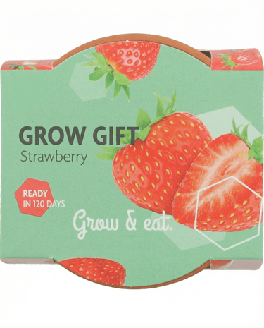 Semi di fragola da appendere (Fragaria × ananassa) – perenne