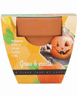 Halloween Pumpkin Seeds Cucurbita Pepo Vegetable Grow Kit