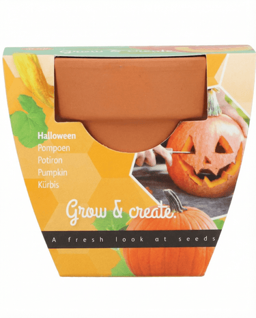 Semi di zucca di Halloween (Cucurbita pepo) – kit di coltivazione
