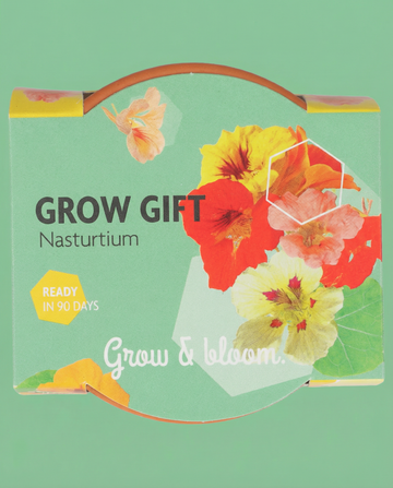 Nasturtium seeds – annual grow kit from SeedsChoice