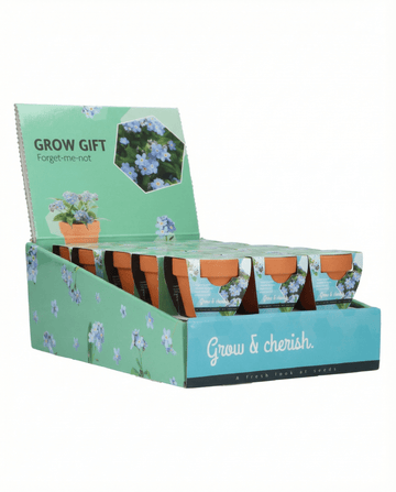 Nontiscordardimé (Myosotis alpestris) – semi con kit di coltivazione da SeedsChoice