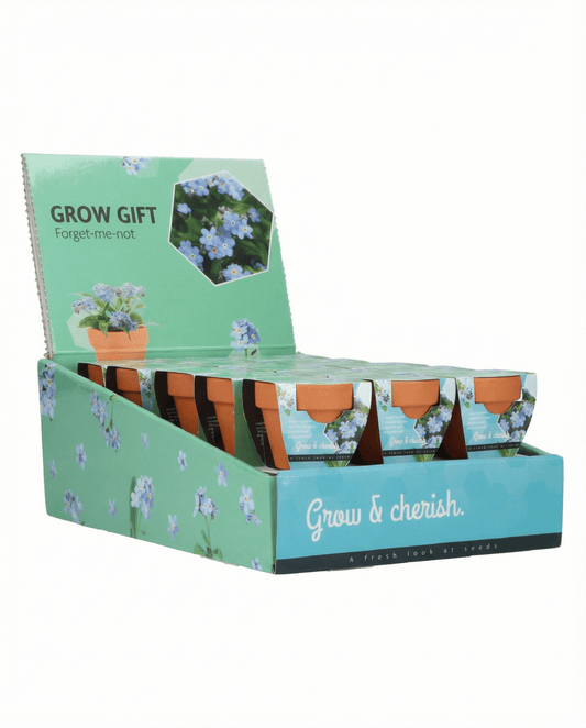 Forget Me Not (Myosotis alpestris) – grow kit seeds from SeedsChoice