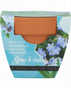 Semi di nontiscordardimé Myosotis alpestris kit di coltivazione