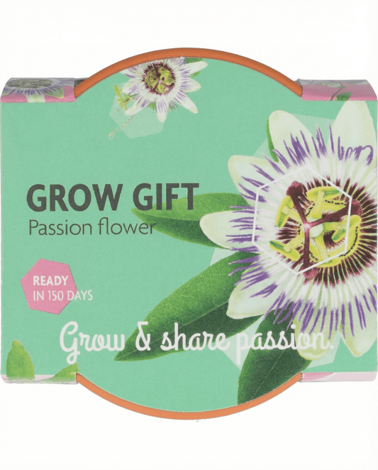 Passiflora Passion Gift Terracotta Pot 30 Pack – grow kit seeds from SeedsChoice
