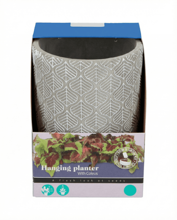 Hanging Planter seeds (Coleus blumei) – grow kit