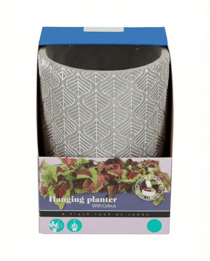 Semi per fioriera pensile (Coleus blumei) – kit di coltivazione