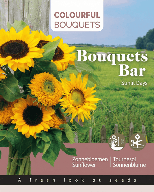 Semi di girasole 75 Cm Bouquet Mix (Helianthus annuus) – semi di fiori annuali da SeedsChoice
