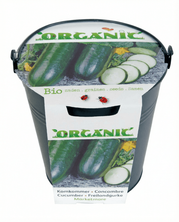 Semi di cetriolo Marketmore (Cucumis sativus) – ortaggio biologico