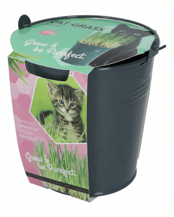 Semi di erba per gatti orzo secchio – kit di coltivazione da SeedsChoice
