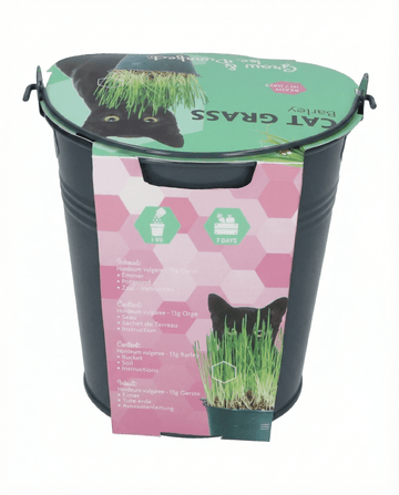 Semi di erba per gatti orzo secchio (Hordeum vulgare) – kit di coltivazione