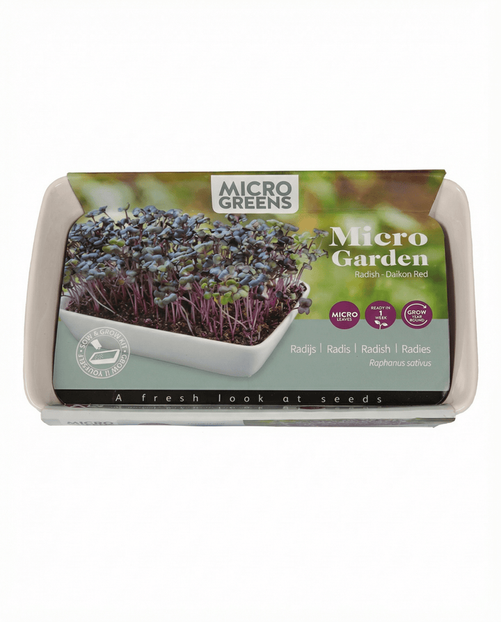 Semi di microgreens ravanello Daikon (Raphanus sativus) – kit di coltivazione