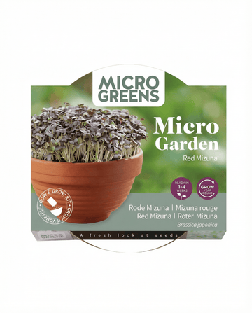Semi microgreens di mizuna rossa Terracotta Vegetables – kit di coltivazione da SeedsChoice