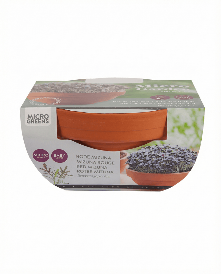 Semi microgreens di mizuna rossa Terracotta Vegetables (Brassica japonica) – kit di coltivazione