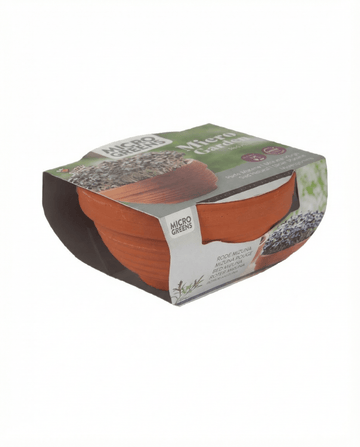 Microgreens di mizuna rossa Terracotta Vegetables (Brassica japonica) – semi kit di coltivazione da SeedsChoice