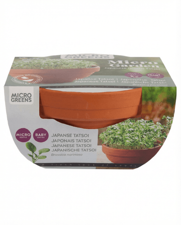 Microgreens di Tatsoi in ciotola terracotta (Brassica narinosa) – kit di coltivazione di SeedsChoice