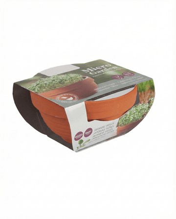 Semi per microgreens di Tatsoi in ciotola terracotta (Brassica narinosa) – kit di coltivazione