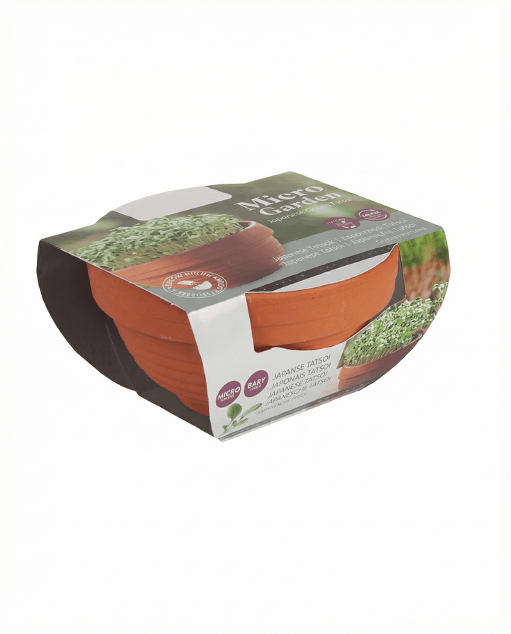 Tatsoi Microgreens Terracotta Dish seeds (Brassica narinosa) – grow kit