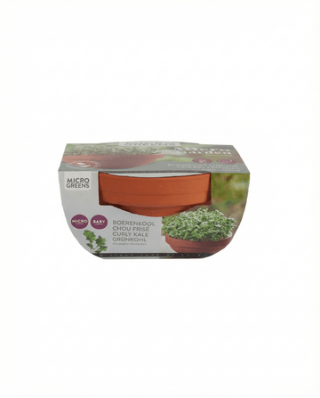 Curly Kale Microgreens Terracotta Dish (Brassica oleracea) – grow kit seeds from SeedsChoice