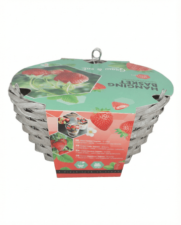 Semi di fragola da cesto pensile Temptation (Fragaria × ananassa) – kit di coltivazione