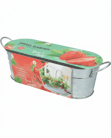 Fragola da frutto da appendere (Fragaria ananassa) – semi perenni di SeedsChoice