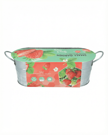 Semi di fragola da frutto da appendere – perenne, di SeedsChoice