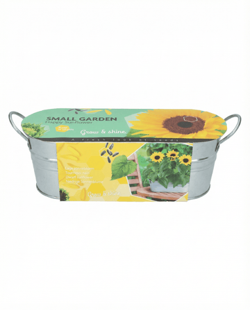 Semi Dwarf Sunflower Low Growing – fiore da SeedsChoice