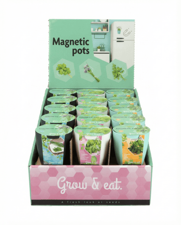 Semi assortimento Basilico Erba cipollina Prezzemolo – kit di coltivazione di SeedsChoice