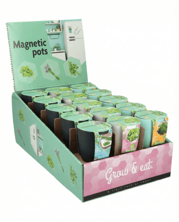 Ocimum basilicum – Assortimento basilico, erba cipollina e prezzemolo coltivati da seme