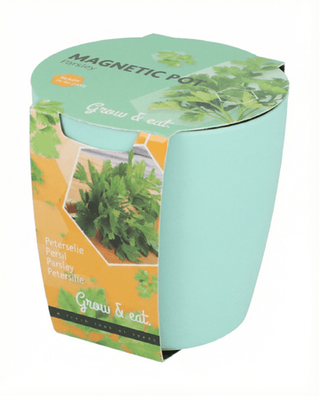 Semi assortimento Basilico Erba cipollina Prezzemolo (Ocimum basilicum) – kit di coltivazione