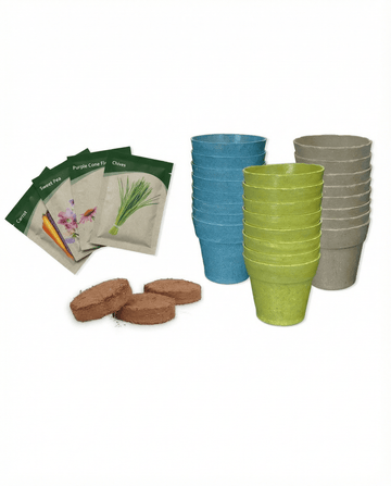 Semi Calendario dell'Avvento 24 Varietà assortite – grow kit